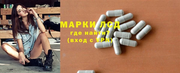стаф Богданович