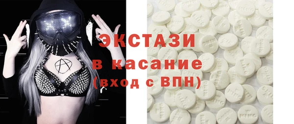 стаф Богданович