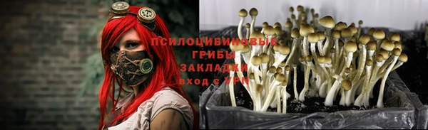 мдма Богородицк