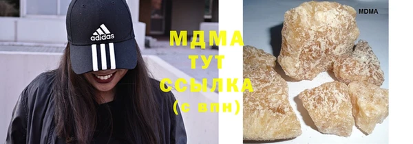 стаф Богданович