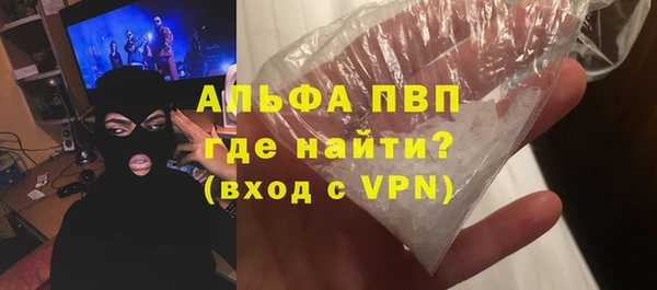 стаф Богданович