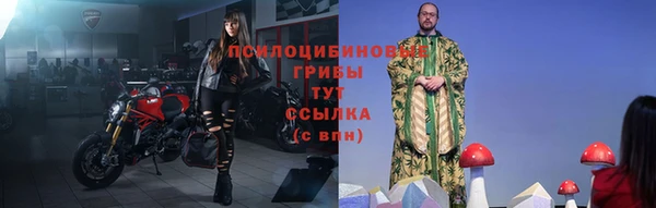 стаф Богданович