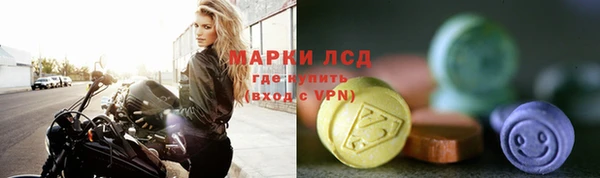 стаф Богданович