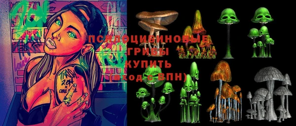 мдма Богородицк