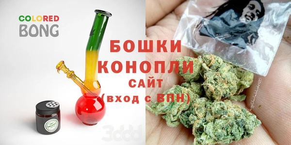 стаф Богданович
