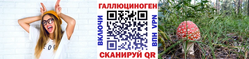 Галлюциногенные грибы Magic Shrooms  купить   Череповец 